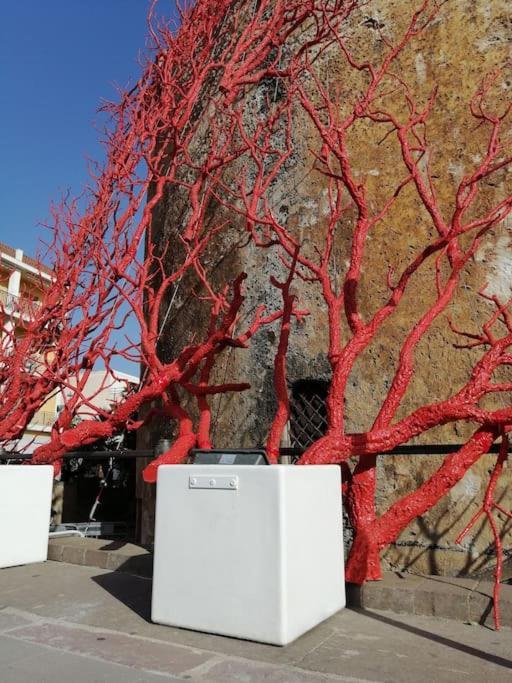 Apartamento Palau Del Corso Alguer Exterior foto